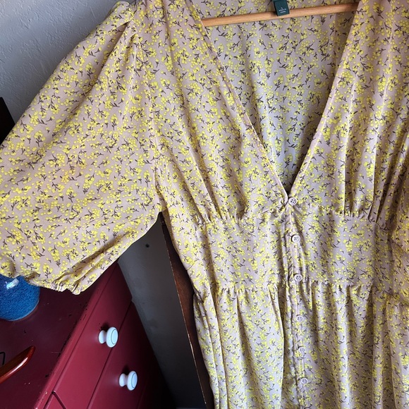 Sheer Cottage Floral Maxi Dress - Picture 4 of 8